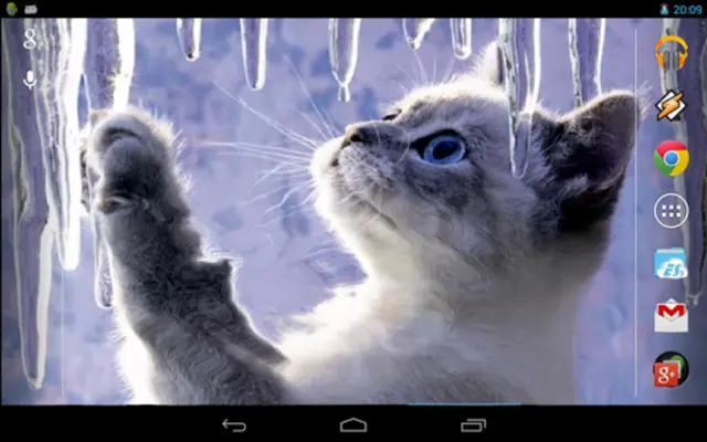 Interactive Kitten android App screenshot 0