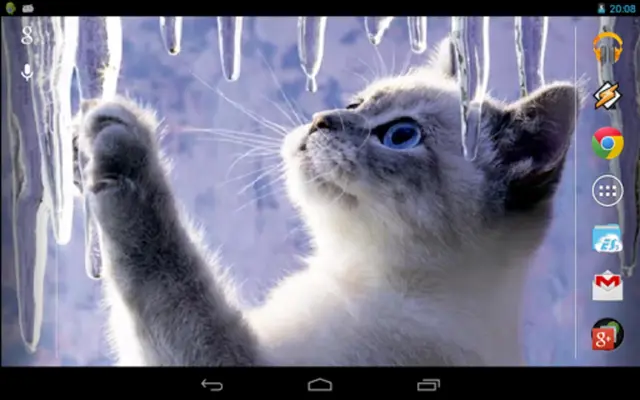 Interactive Kitten android App screenshot 1